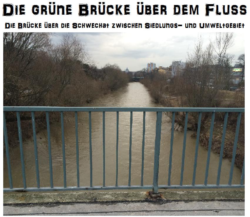 Die grüne Brücke über dem Fluss Bild